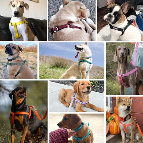 Blueberry Pet Essentials Step-in Dog Harness, Small Size | Adjustable Flint Gray Vest | Classic Solid Nylon for Boy & Girl...