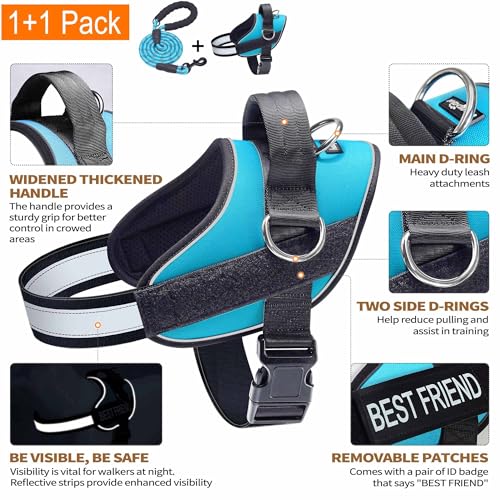 Haapaw Essential Dog Harness, No Pull Pet Vest with 3 Leash Clips, No Choke, Reflective, Adjustable and Padded, for Easy W...