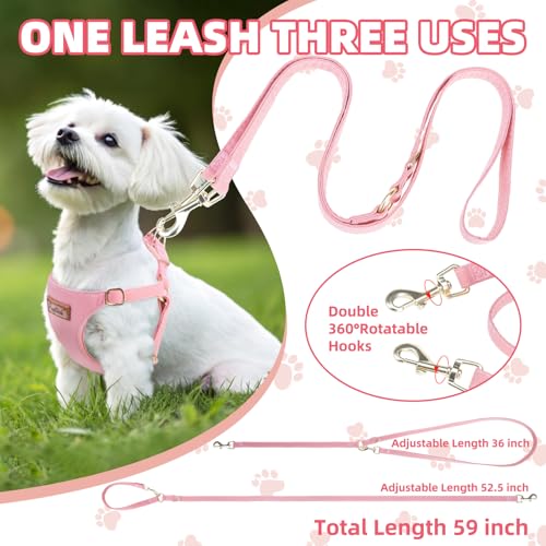 PUPTECK Dog Harness and Leash Set Small Sized, Lightweight Step-in Puppy Harness, Escape Proof No Pull Cute Pet Vest Harne...