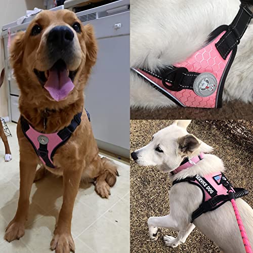 Cymiler Service Dog Vest,No-Pull Dog Harness and Leash Set,Adjustable Oxford Reflective Service Dog Vest Harness with Hand...