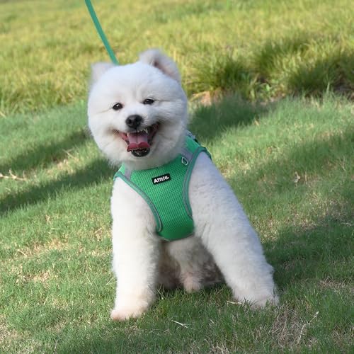 AIITLE Dog Harness for Medium Sized Dog, No-Pull Dog Vest with a Leash, Breathable Mesh, Reflective Stripes, Escape Proof ...