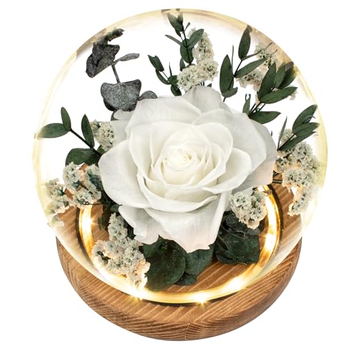 Regalo Flor Preserved Roses & Preserved Flowers Gift for Women, Roses that Last Forever, Flowers for Delivery Prime, White...