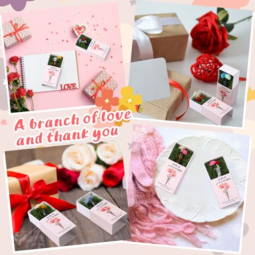 36 Sets Mother's Day Bulk Gifts for Women Teacher Nurse Appreciation Positive Mini Bud Vases with Flower Office Desk Decor...