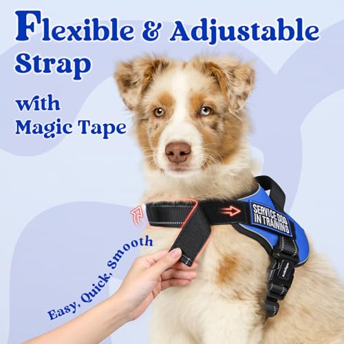 rabbitgoo Dog Harness Medium Sized, No Pull No Choke Pet Vest, Easy Wearing with One Buckle, Reflective, Adjustable Pet Ha...