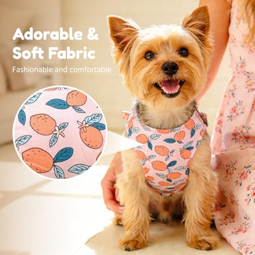 BAEJMJK Dog Harness and Leash Set with Bow Knot No Pull Pet Floral Harness with D-Ring Soft Mesh Dog Harness Vest Set Esca...