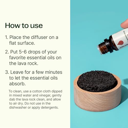 Plant Therapy Lava Rock Passive Diffuser for Essential Oils Great for Decorating at Home, Office or Car, and Gift-Giving