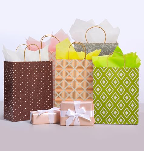 12 Pack 13" Large Kraft Paper Gift Bags Assortment with Tissue Paper & Handles, 12 Unique Solid & Geometric Pattern Design...