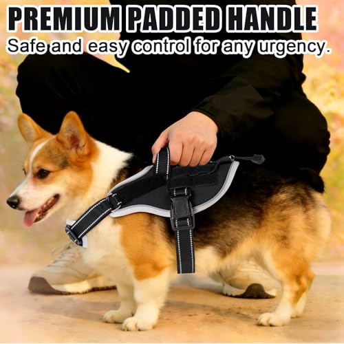 Service Dog Vest, No Pull Dog Harness Small Medium Sized Dog, Service Dog Harnesses and Leash Set, Reflective Easy Walk Do...