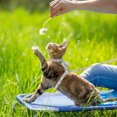 TIESOME Cat Harness and Leash Set, Adjustable Gradient Kitten Harness Escape Proof Harness with Leash for Kitty Outdoor Wa...