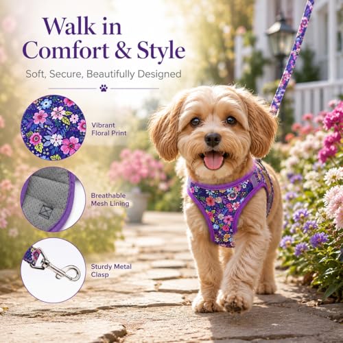 Moonpet Step in Dog Harness Leash Set- All Weather Reflective No-Pull Floral Pattern Padded Mesh Vest Harness for Cats Pup...