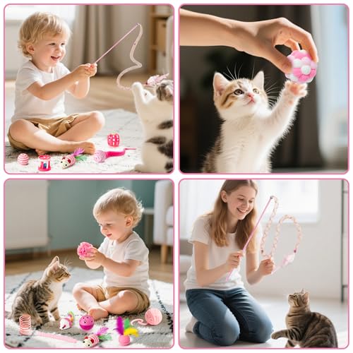 MALLMALL6 Cat Toy Set Interactive Cat Toys 27Pcs Pack Stuff Pink Feather Teaser Wand Springs Mice Sisal Fish Crinkle Balls...
