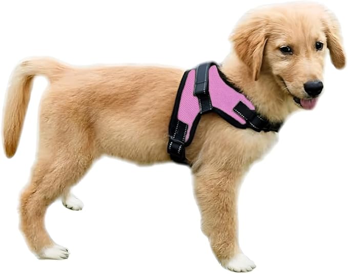 Copatchy No Pull Reflective Adjustable Dog Harness with Handle- Comfortable Soft All Weather Mesh, Easy On Puppy Harness f...