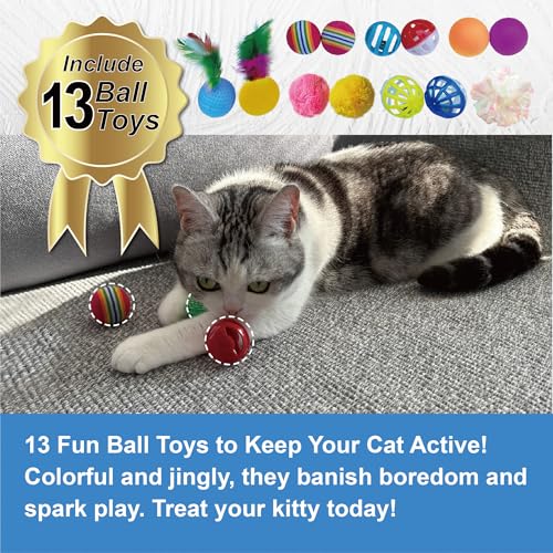 PetLike 25pcs Interactive Cat Toys Set Collapsible Cat Tunnel Interactive Feather Teaser Wand,Spring Toys & Balls for Indo...