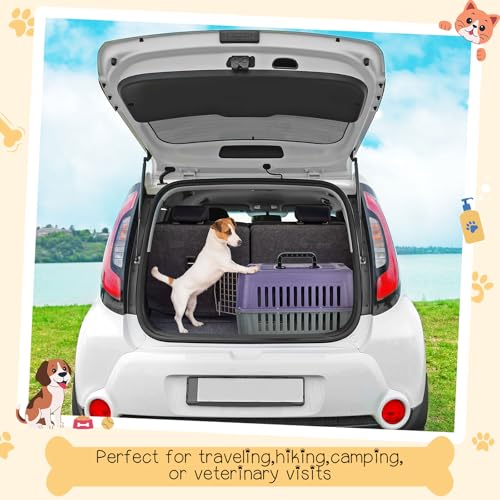 2 Set Travel Pet Carriers for Small Cat Dog Plastic Hard Shell Carrier Cat with Bowl Wire Door Grille Mat Portable Breatha...