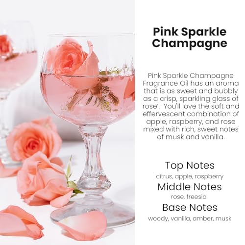 HoogaLife Car Air Freshener Diffuser 2 Pack Hanging Air Freshener Diffuser - Pink Sparkle Champagne Fragrance Oil Air Diff...