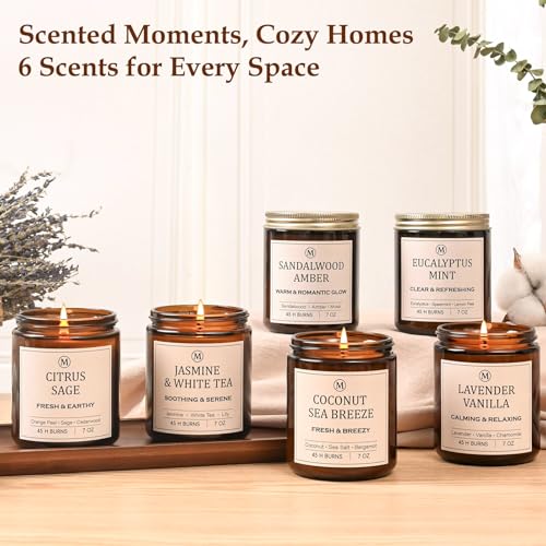 6-Pack Scented Soy Candle Set – Lavender Vanilla, Eucalyptus, Sandalwood, Jasmine & White Tea, Coconut, Sage | Natural Lon...