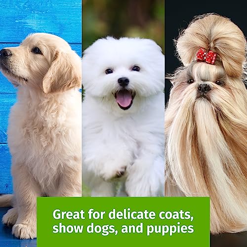 Show Tech Tuffer Than Tangles Slicker Brush for Dog Grooming with Long, Soft Pins, Medium Size, Perfect for Doodle Breeds,...