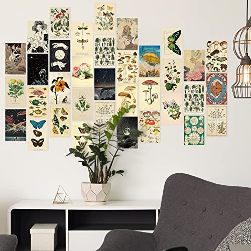 Containlol 60 Pcs Vintage Wall Collage Kit Maximalist Paintings Art Prints Botanical Illustration Tarot Aesthetic Vintage ...