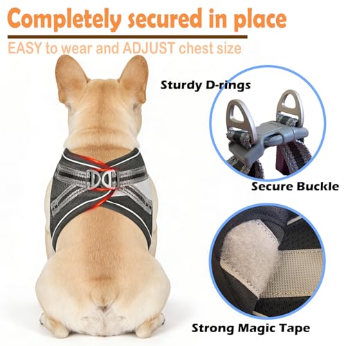 Small Dog Harness and Leash Set, Step-in Puppy Vest with Breathable Soft Padded Mesh, Walking Reflective Pet Harness for S...