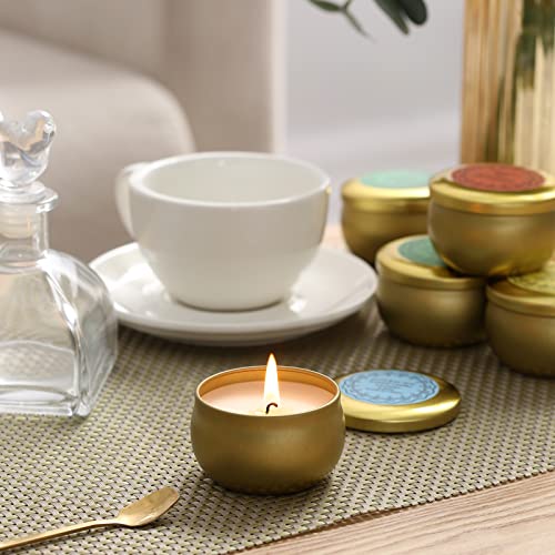 qinxiang Scented Candles Gifts Set,16 Pack Natural Soy Wax Travel Tin Jar Candles for 2.5 OZ Aromatherapy Candles for Fami...