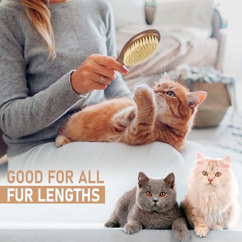 TAKAVU Natural White Boar Bristle Cat Brush - Gentle Grooming Tool for Sensitive Skin, Smoothing Fur & Healthy Shine - Sof...