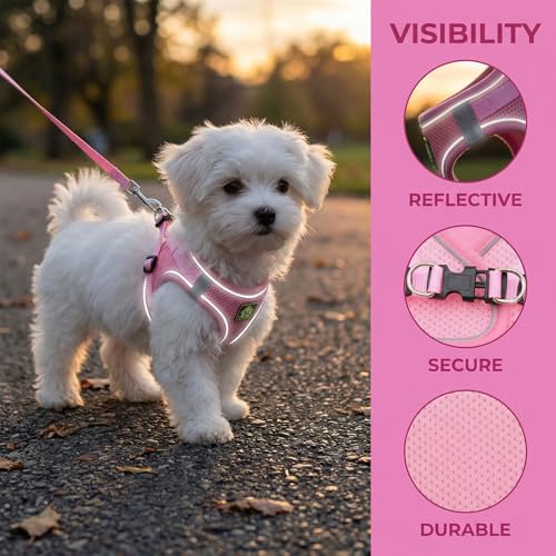 Dog Harness with Leash Set, No Pull Adjustable Reflective Step-in Puppy Harness with Thickened Padded Vest for Extra-Smal...