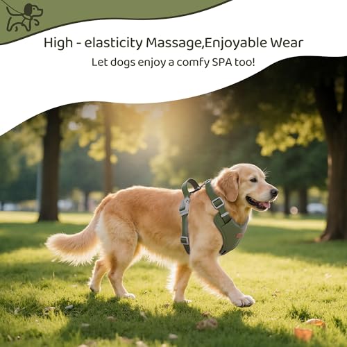 Xlife No-Pull Dog Harness for Medium Dogs - Easy On/Off Adjustable Vest with 3D Air Cushion, Safety Buckle & No-Choke D Ri...