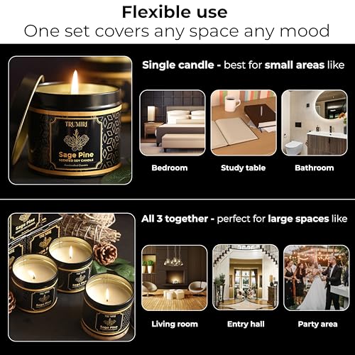 Sage & Pine Candle Strong Scented Soy Candel Natural Non Toxic Velas Aromáticas for Home Gift for Fall Christmas Holidays ...
