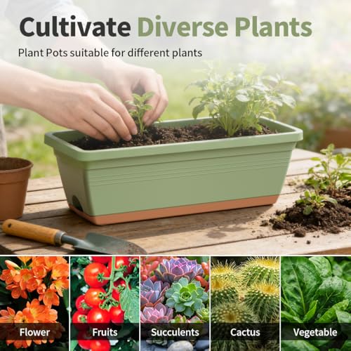 LESOASIS Window Box Planter, 6 Pack Plastic Vegetable Flower Window Planters Boxes 16 Inches Rectangular Flower Pots with ...