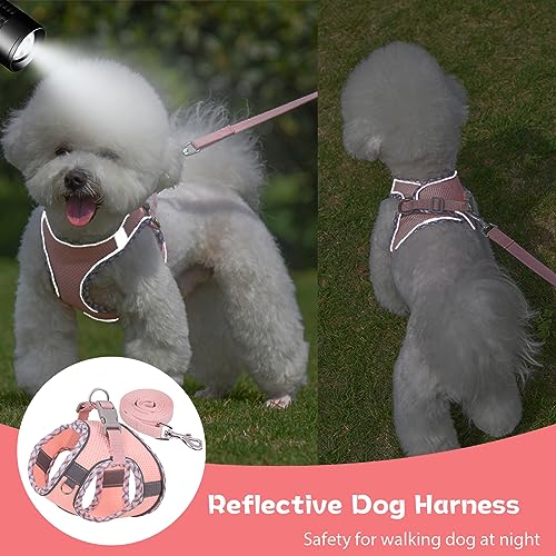 PETPUBGNZS Cute Plaid No Pull Dog Harness for Small Dogs Soft Mesh Small Dog Harness and Leash Set Easy Walk Step in Puppy...