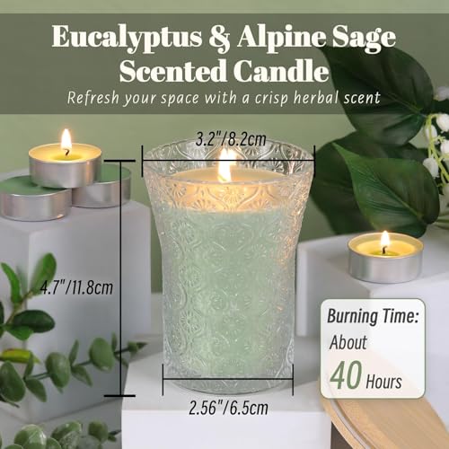HAVITI Eucalyptus & Alpine Sage Scented Candle, Galentines Valentines Mother's Day Soy Jar Candles Gift Men Women,8 OZ Aro...