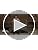 Weaver Leather Self Cleaning Slicker Brush