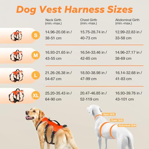 Fiveda Light Up Dog Harness LED Dog Vest - USB-C Rechargeable RGB 9-LED, Slow/Fast Rainbow Modes, Reflective No-Pull Harne...