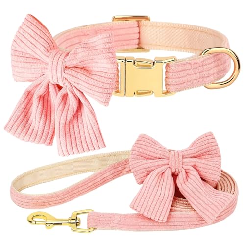Didog Cute Dog Collar and Leash Set with Bowtie, Girl Dog Collars Metal Buckle Adjustable for Small Medium Dogs(Pink, S)