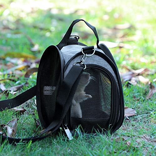 Petsfit Hamster Carrier Small Animal Bag for Sugar Glider,Hedgehog,Tortoise,Teacup Dogs,Baby Guinea Pig - Lightweigh Carri...