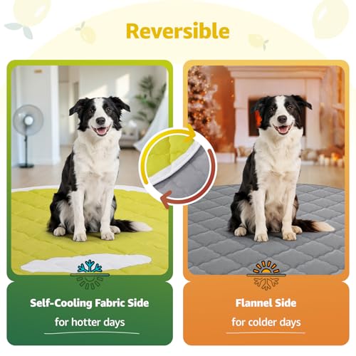 LOOBANI Dog Cooling Mat 38"x50"- Cute Lemon Design Cooling Mat for Dogs (Cool & Warm Side), Waterproof Self-Cooling Mat fo...