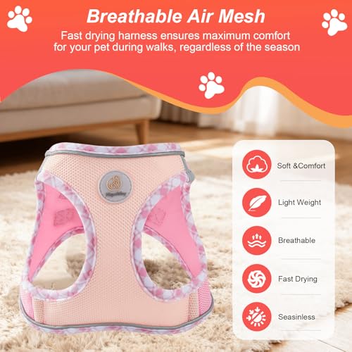 Hipubby Dog Harness Small Sized and Leash Set, No Pull Soft Mesh Puppy Vest, Reflective Breathable Lightweight Pet Harnes...