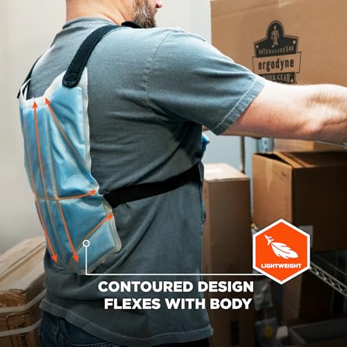 Ergodyne 6210 Phase Change Lightweight Cooling Ice Vest, Cooling Relief for All Environments, Cooling Towel Included