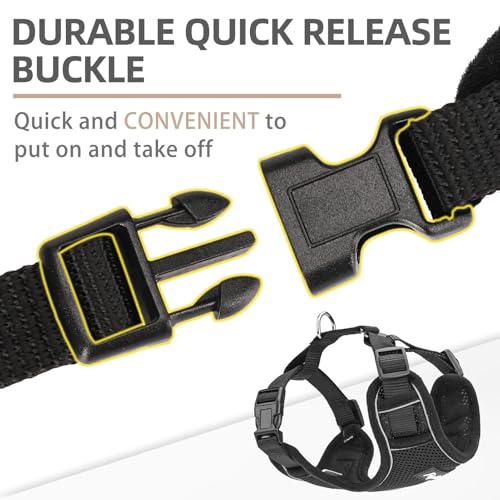 PUPTECK Small Dog Harness and Leash Set, No Pull Adjustable Puppy Cat Harness, Reflective Soft Mesh Pet Vest Small Sized, ...