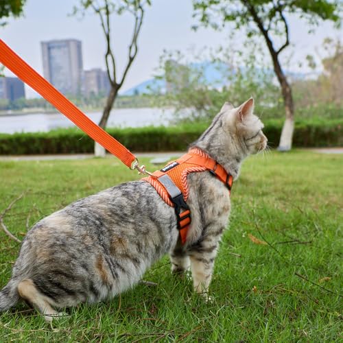 pangdi Cat Harness and Leash Escape Proof Large Kitten Harness Ragdoll Cat Vest for Walking Travel, Orange, L