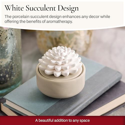 Airomé White Succulent, Porcelain Passive Essential Oil Diffuser (with 15ml Peppermint Essential Oil) – Non-Electric, Batt...