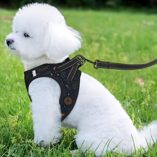 Dog Harness and Leash Set with Celestial Moon Star Pattern, Breathable Mesh Vest with Reflective Strips, Adjustable No Pul...