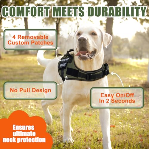 No Pull Dog Harness Small Medium Sized Dog, Service Dog Harness and Leash Set with 4 Patches, Adjustable Easy Walk Dogs Ha...