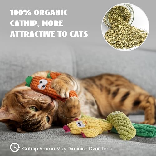 Pawsible Cat Toys for Indoor Cats, 100% Pure Organic Catnip-Filled Toys Without Cotton, Interactive Cactus Kitten Toy for ...