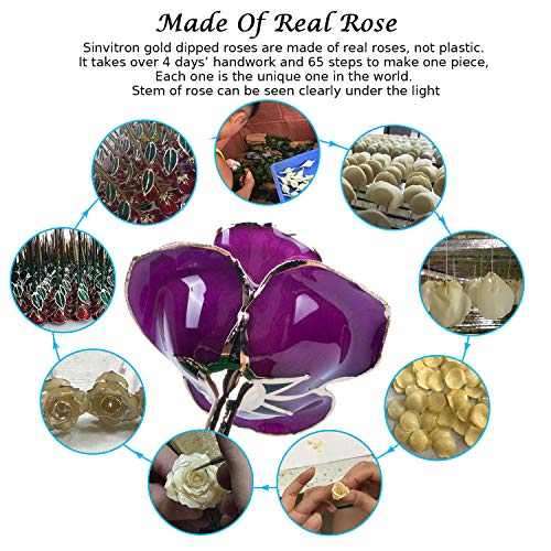 Sinvitron Gold Dipped Infinity Rose Forever Flower Decor, Resin Preserved Real Rose Birthday Gift for Women, Anniversary P...
