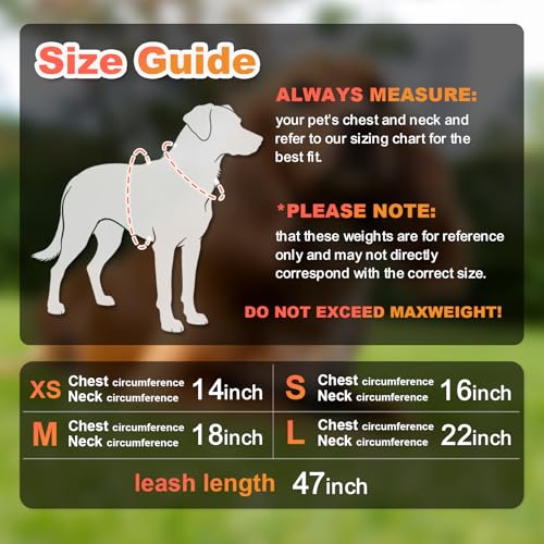 Dog Harness Medium Sized Dogs, Puppy Harness and Leash Set for Training, Running, Walking, Suitable for Small and Medium D...