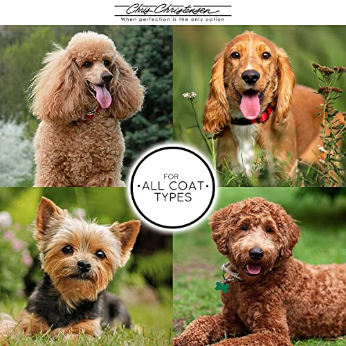 Chris Christensen Big G Dog Slicker Brush for Dogs (Goldendoodles, Labradoodles, Poodles), Groom Like a Professional, Fluf...