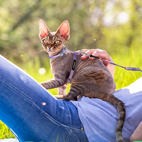 TIESOME Cat Harness and Leash Set, Adjustable Gradient Kitten Harness Escape Proof Harness with Leash for Kitty Outdoor Wa...