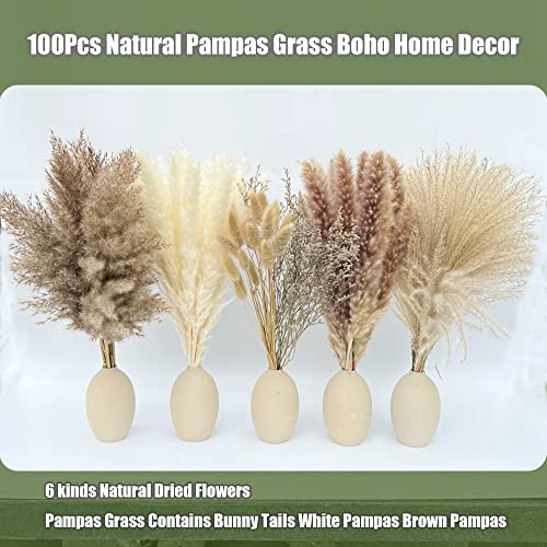 100Pcs Pampas Grass Boho Home Decor 17 inch Natural Dried Flowers-Pampas Grass Contains Bunny Tails White Pampas Brown Pam...