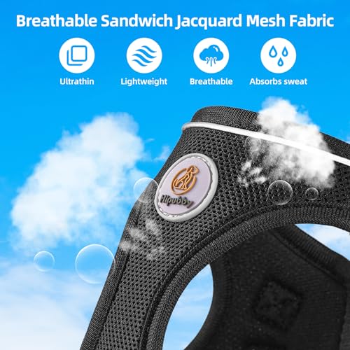 Hipubby Dog Harness and Leash Set, No Pull Soft Mesh Puppy Harness for Small Medium Dogs, Cats - Step in Reflective Breath...